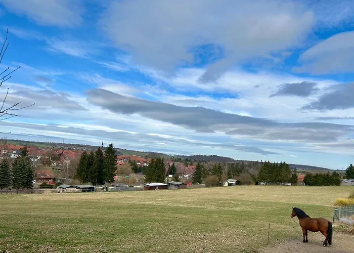 بيت للعطل Zum Vogelhaeuschen